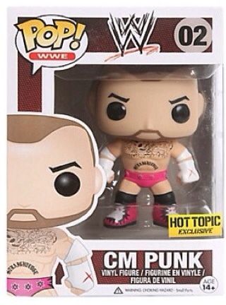 CM Punk Rose